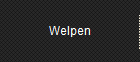 Welpen